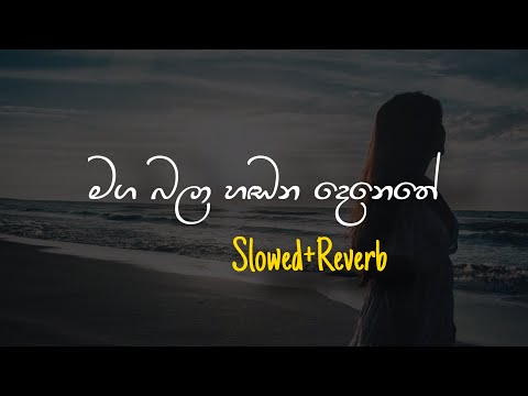 Maga Bala Hadana - මග බලා හඩන දෙනෙතේ (Slowed+Reverb)