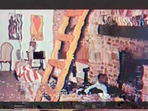 Summer Of Love '69 The Music Of Charles Manson Promo 5