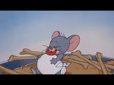Tom and Jerry 01 Epizód - A kis árva