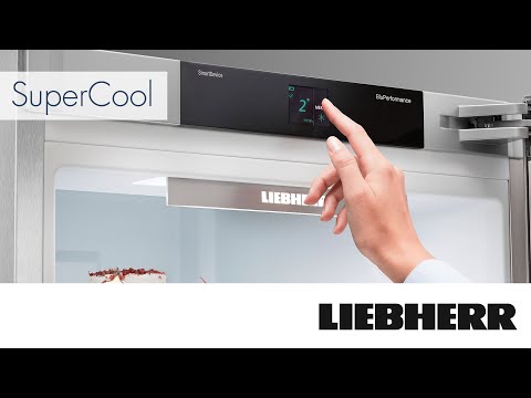 Холодильник Liebherr Re 1201 Pure