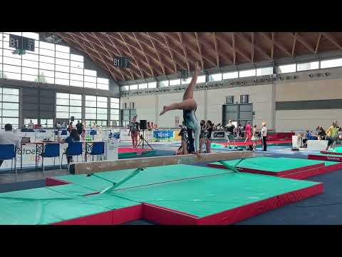 CAMPIONATO NAZIONALE GAF SERIE D LB