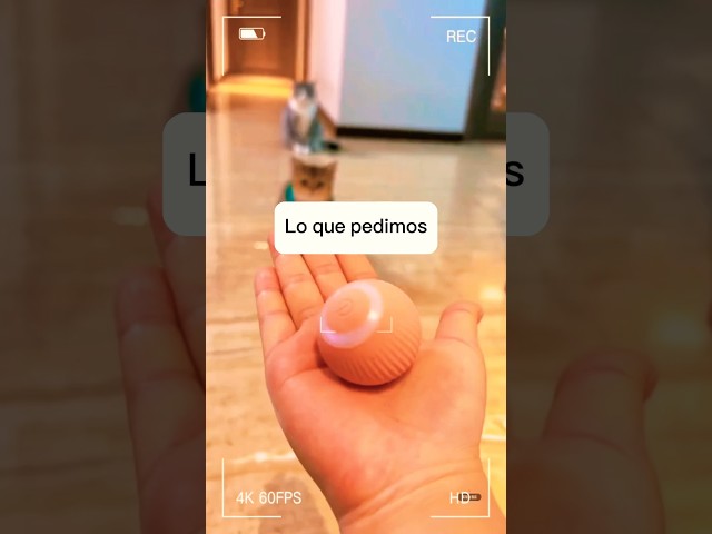 Vídeo relacionado con Juguetes Eléctricos para Peces Catnip, 30CM Recargable USB Juguetes Simulación Realista de Felpa, Suministros Interactivos Divertidos para Masticar Mascotas para Gato Gatito