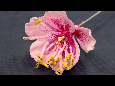 Paper Flower - Peach Blossom Flower Craft Tutorial