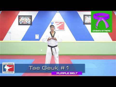 Han Bros Taekwondo Purple Belt TaeGeuk #1