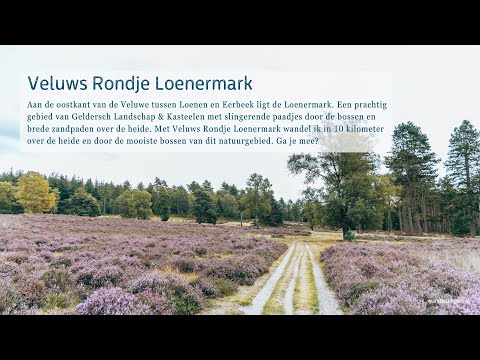 Veluws Rondje Loenermark