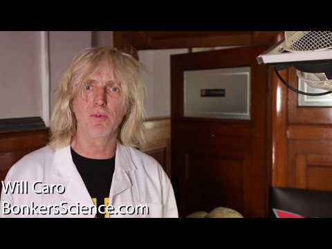 BonkersScience.com - Okehampton - Physics Education for Primary Schools