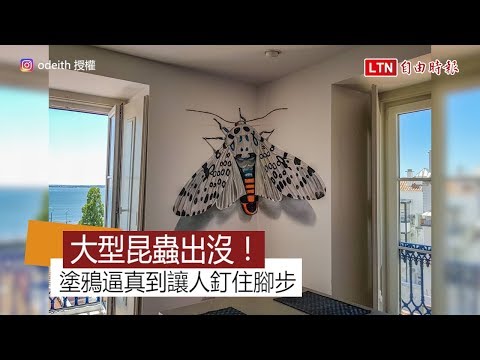 看到蛾
