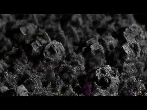 HALINA RICE - ACCESSION