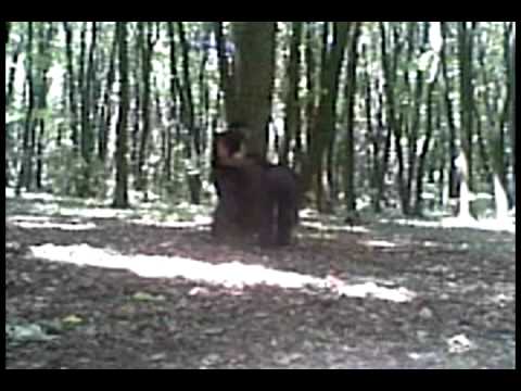 the last soul (this is 4 hamty)