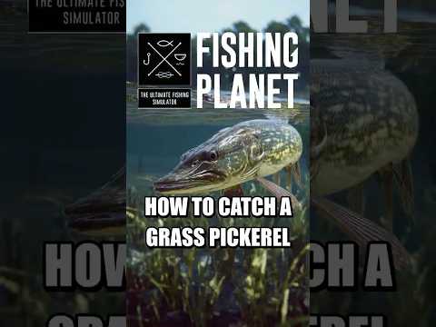 How To Catch Grass Pickerel In Fishing Planet! #fishingplanet #shorts #foryou #fyp