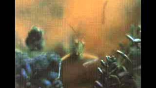 Steely Dan - Everyone's Gone To the Movies (Katy Lied, March, 1975)