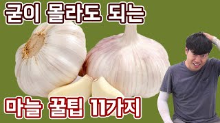 몰라도 되는 마늘상식, 마늘농사꿀팁 11가지│농사직방