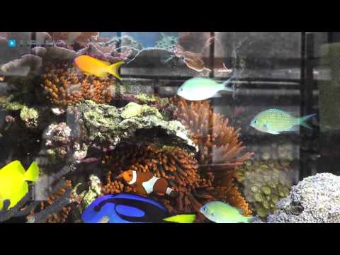 Floristik- u. Blumenladen und Fleurop-Partner Blumenstadel Miller in Ichenhausen, Günzburg