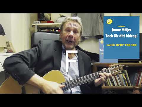 Lär dig spela gitarr - Gitarr för nybörjare - Börja om från början - Janne Höijer