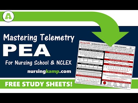 What is PEA Pulseless Electrical Activity Nursing KAMP NCLEX Prep 2019