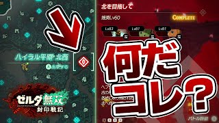 新要素の『ファントムモード』って何？？？【ゼルダ無双 封印戦記】