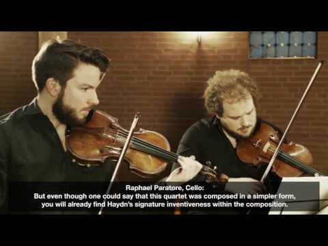 HAYDN String Quartets (Goldmund Quartet)