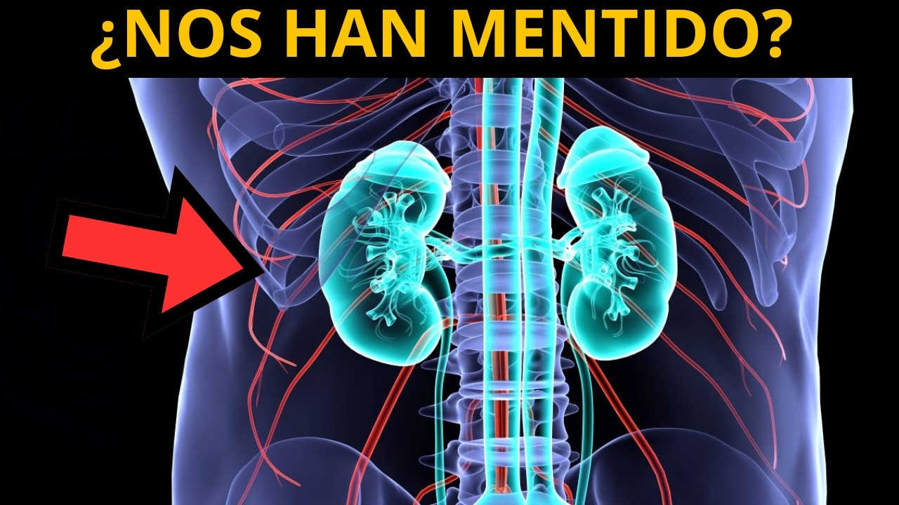 CÉLULAS MADRE: ¿Realmente pueden CURAR tus enfermedades?