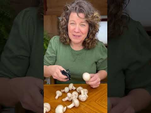 How do you wash Mushrooms?