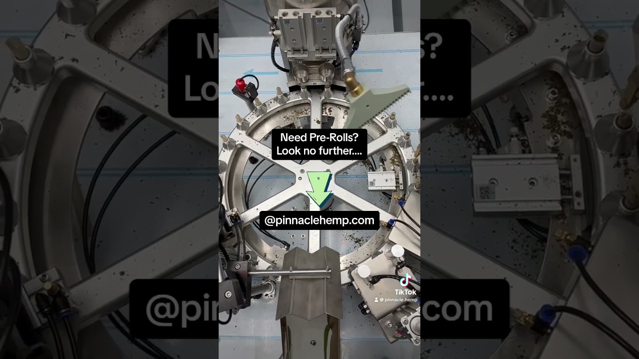 Pre-Rolls in the making 🍃🔥💯#pinnaclehemp #prerolls #shorts #short  #education #shipstou #420 #viral