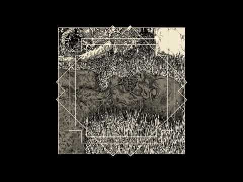 Mitochondrion - Gilded Words Reaped