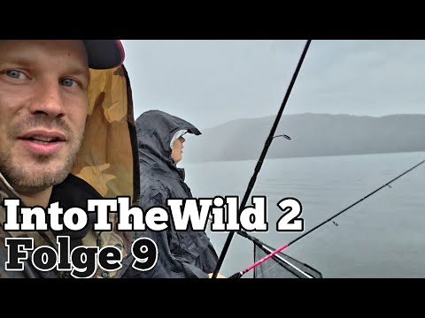 We check into a hotel just before my birthday and find fish galore #intothewild