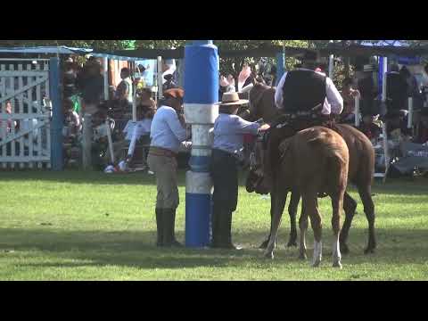 ARMINDO SOLOA ADELIA MARIA - GRAN FIESTA DE DOMA