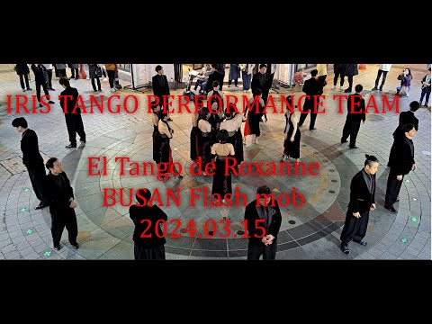 "El Tango de Roxanne" Tango Flash Mob