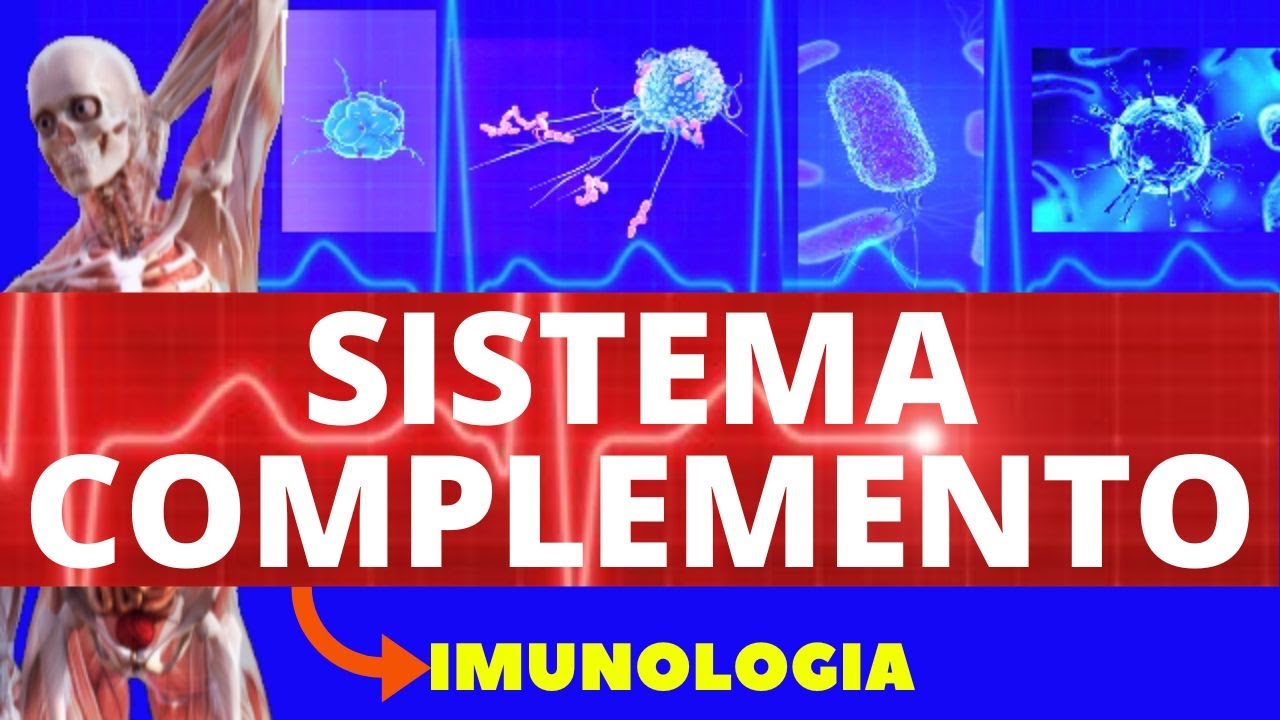 SISTEMA COMPLEMENTO (ENSINO SUPERIOR) - IMUNOLOGIA - VIA CLÁSSICA,ALTERNATIVA,LECTINA -SISTEMA IMUNE