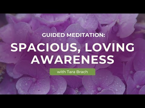 Guided Meditation: Spacious, Loving Awareness with Tara Brach