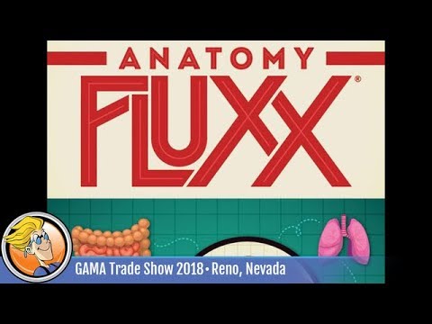 Anatomy Fluxx — game preview at the 2018 GAMA Trade Show