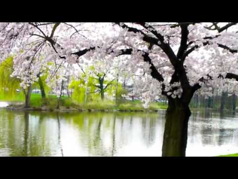 Rudolf Stambolla   Kendo Kitarra Ime  HD Quality    YouTube1