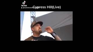 Cypress Hill - I Wanna Get High(Live)