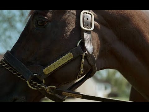 LGR Show Episode 50 on 12-27-25 with hosts Dani Gibson & Dick Jerardi