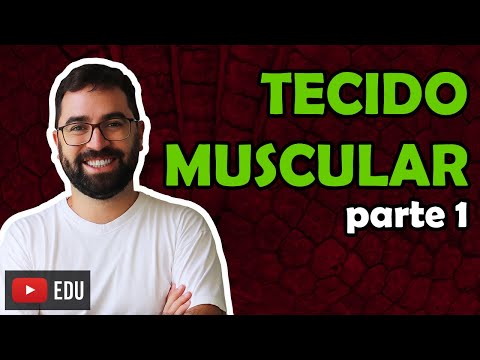 Types of Muscle Tissue - Class 13 - Module VII: Human Histology and Physiology | Prof. Gui