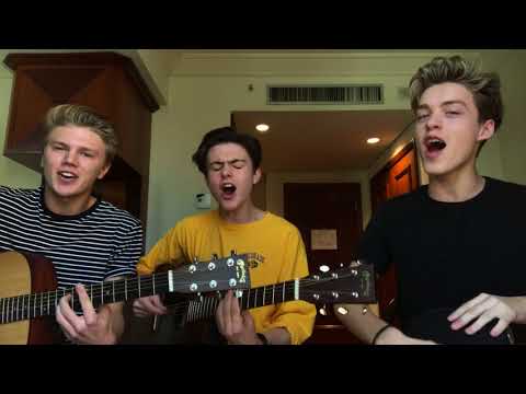 Dusk Till Dawn - Zayn & Sia (Cover by New Hope Club)