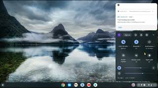 how to change the color of your screen on chromebook 2024