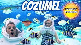 NEW FAVORITE EXCURSION - SeaTrek Cozumel - Day 6 Cruise Vlog - Harmony of the Seas - Royal Caribbean