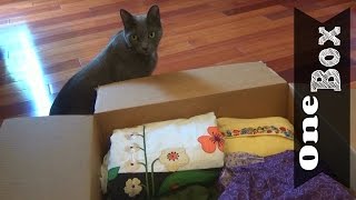 Thrift- One Box Challenge + Organization Tips