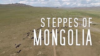 STEPPES OF MONGOLIA (Landscape Video Series) - Ama