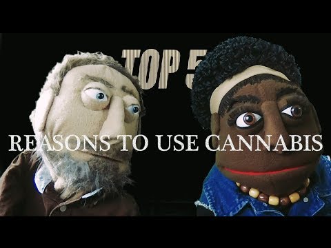 TOP 5 REASONS TO USE CANNABIS!! JT & Jonesy Show Ep 19