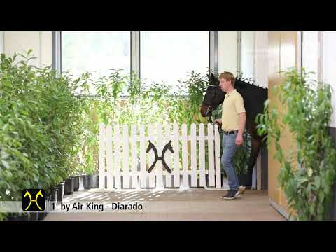 Verden Stallion Licensing 2021 - Jumping - Dec. 2-4 - No. 1 Stallion by Air King - Diarado