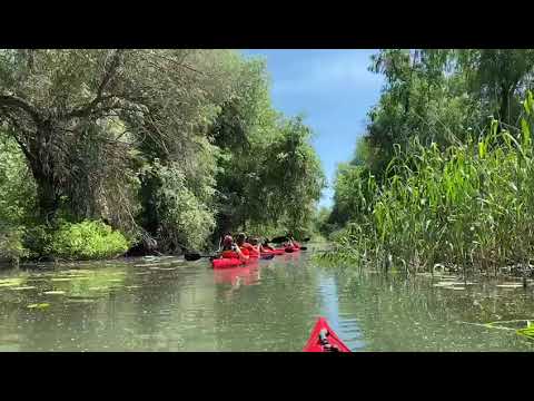 Plimbări cu Caiacul în Delta Dunării