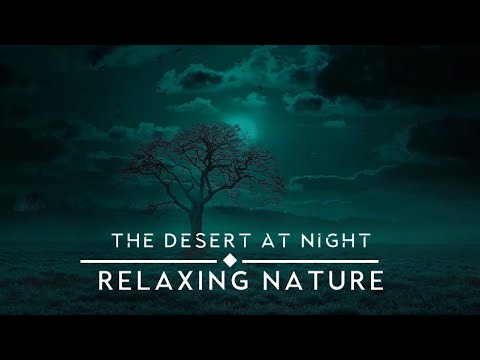 SLEEP SOUNDS: "The Desert at Night" - 8 HOUR version - RELAXATION + MEDITATION