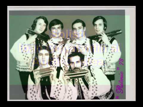 Hora Staccato - Nelu Stefan - World Harmonica-(Gr.Dinicu)