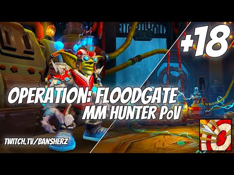 +18 Operation Floodgate MM Hunter PoV