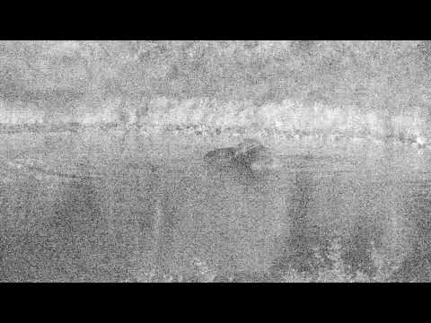 Djuma: Two Hippos have a soak in Vuyatela Dam - 03/01/19