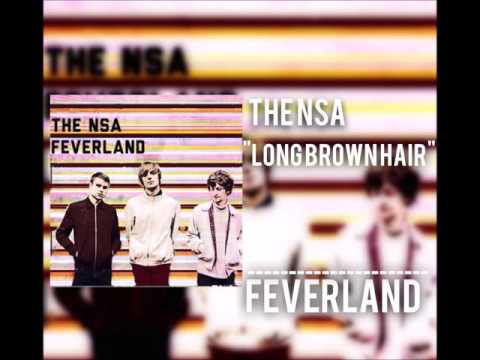 The NSA - Long Brown Hair