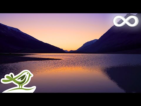 Magical Night: Relaxing Ambient Music for Meditation, Sleep, Yoga & Stress Relief