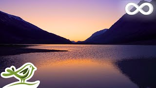 Magical Night: Relaxing Ambient Music for Meditation, Sleep, Yoga & Stress Relief